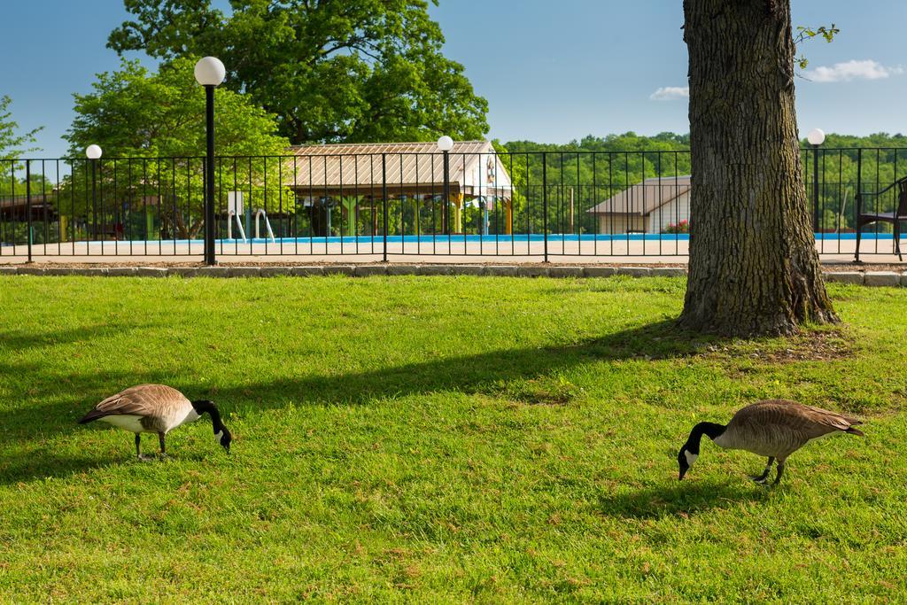 Branson Yacht Club Hotel Indian Point Exterior photo